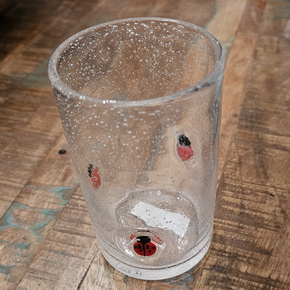 Handcrafted Lady Bug Glassware ~ Bundle Of 2 Glasses